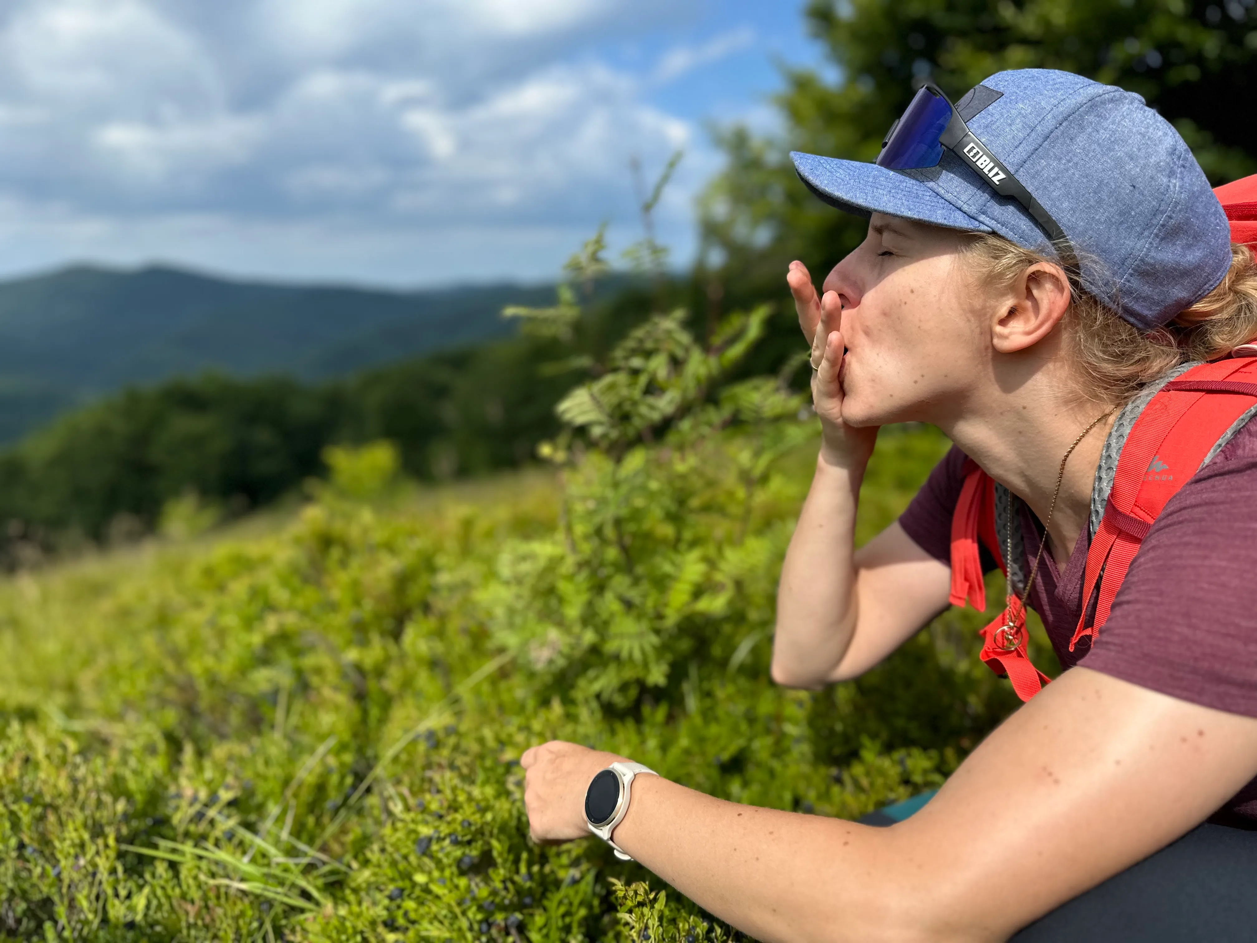 Eating wild blueberries on a mountain hike