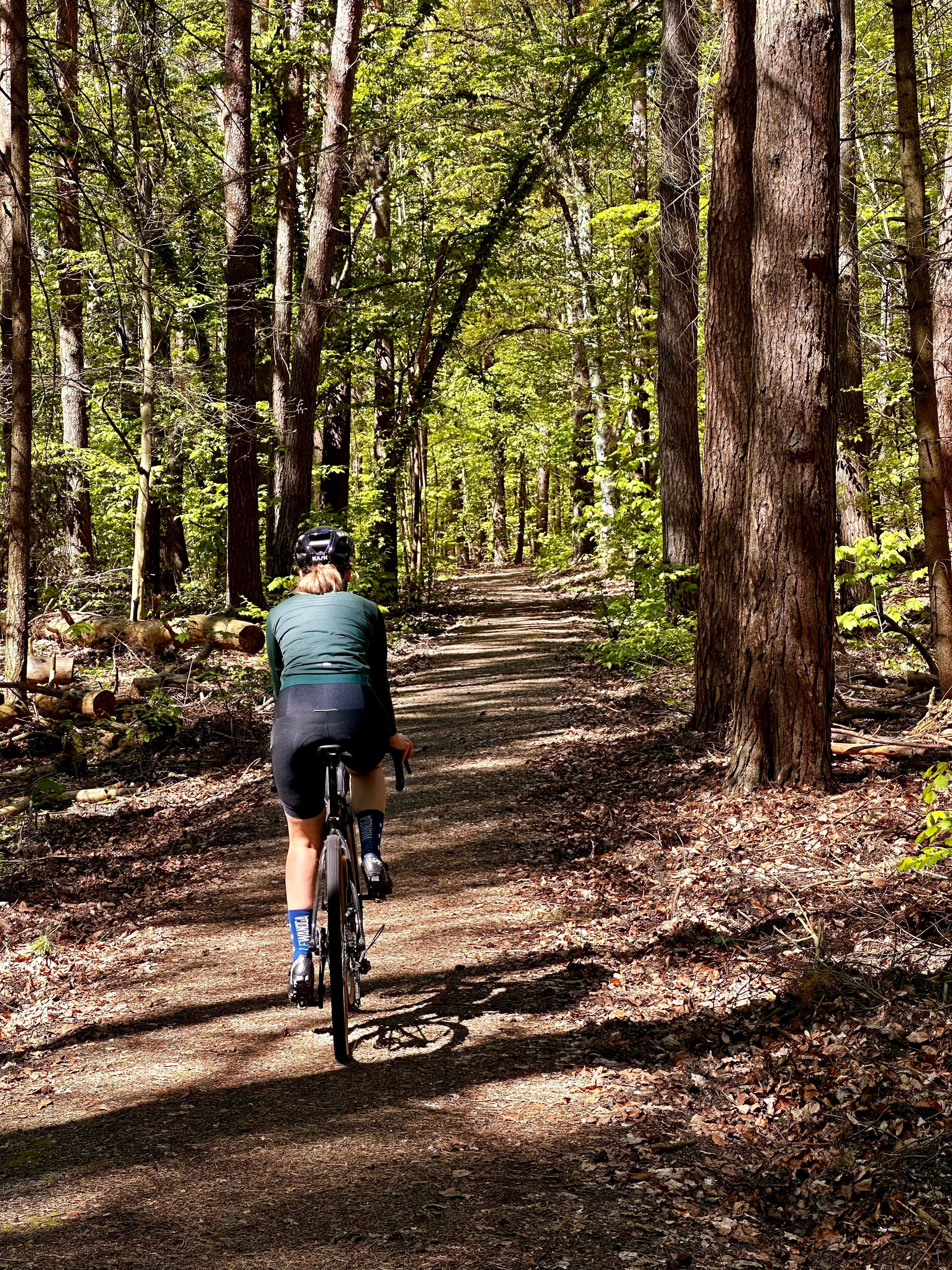 Riding a gravel bike along a forest track